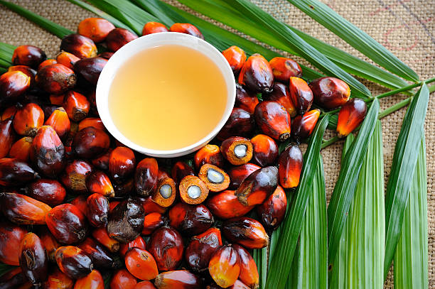 Close up of fresh oil palm fruits with cooking oil, selective focus.