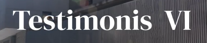 Testimonis VI
